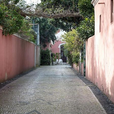 Lovelystay - Sunny Flat W/ Balcony Overseeing Graca And River Lisboa Extérieur photo